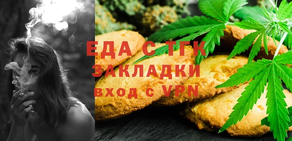 амф Верхний Тагил