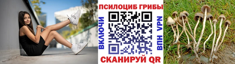 Галлюциногенные грибы Magic Shrooms  Каменск-Уральский 